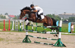Кубок губернатора Амурской области по конному спорту