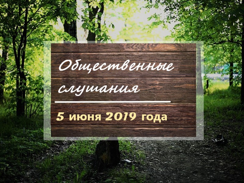 Общественная палата Амурской области проводит общественные слушания по вопросу лесопарковой зоны