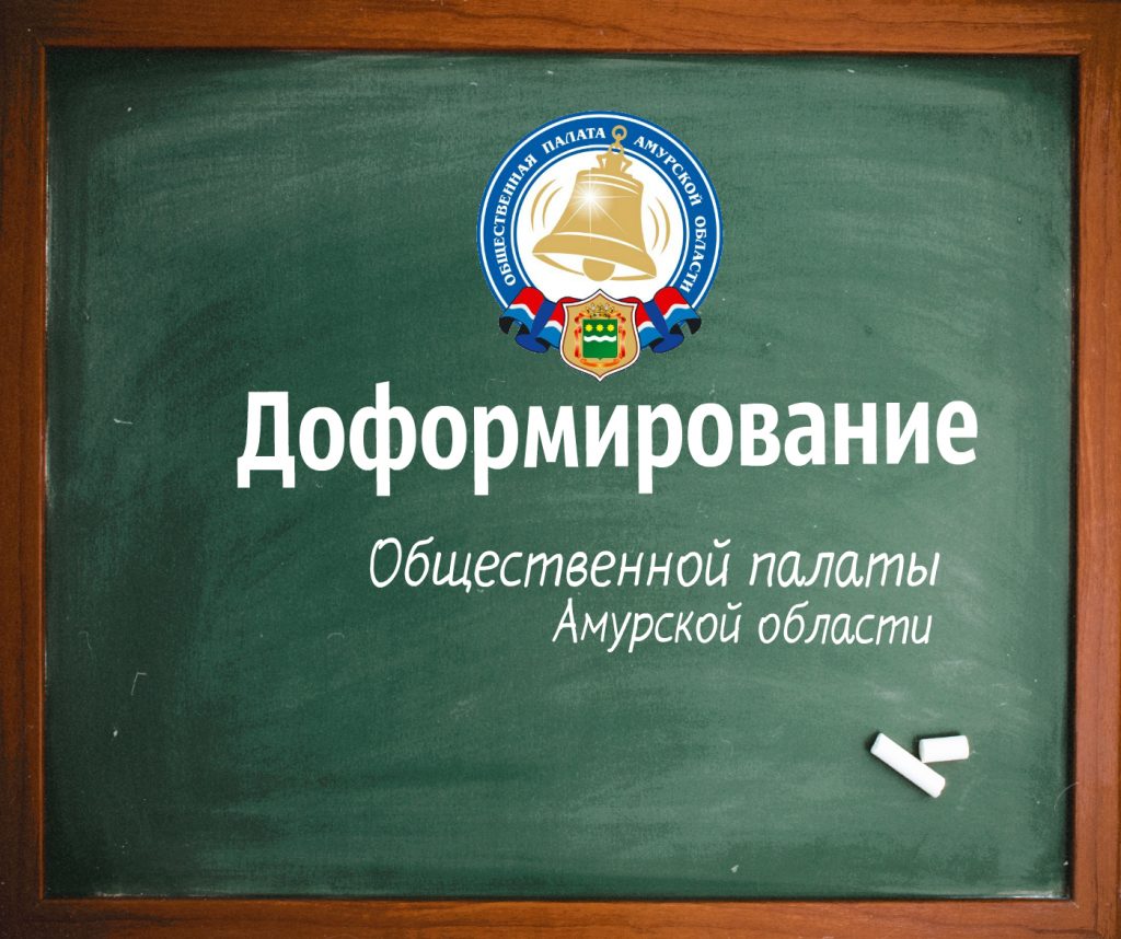 О доформировании Общественной палаты Амурской области