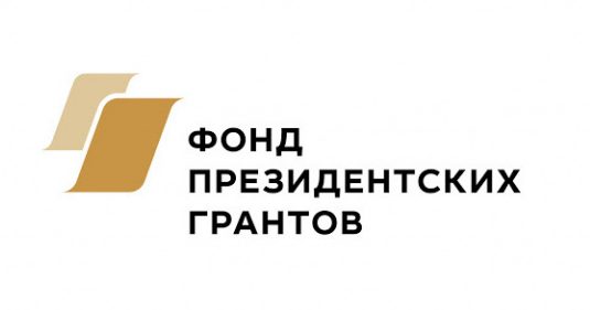 Началась оценка результатов проектов социально ориентированных некоммерческих организаций Амурской области, реализованных с использованием президентского гранта до конца 2020 года