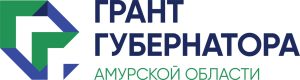 Победители первого грантового конкурса губернатора Амурской области разбирались в тонкостях подготовки отчетов по проектам