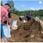 Амурские спортсмены вновь строят дамбу, спасая село Владимировка от наводнения