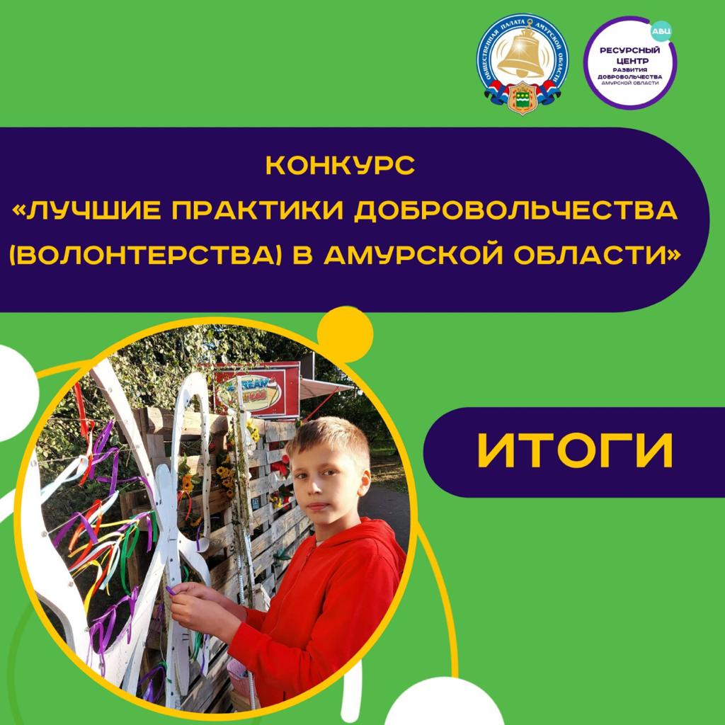 Результаты конкурса «Лучшие практики добровольчества (волонтерства) в Амурской области»