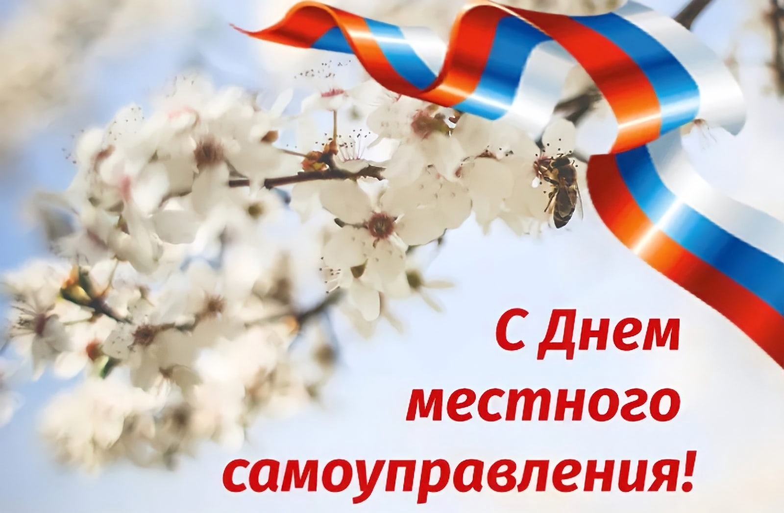 С днем местного самоуправления!!!